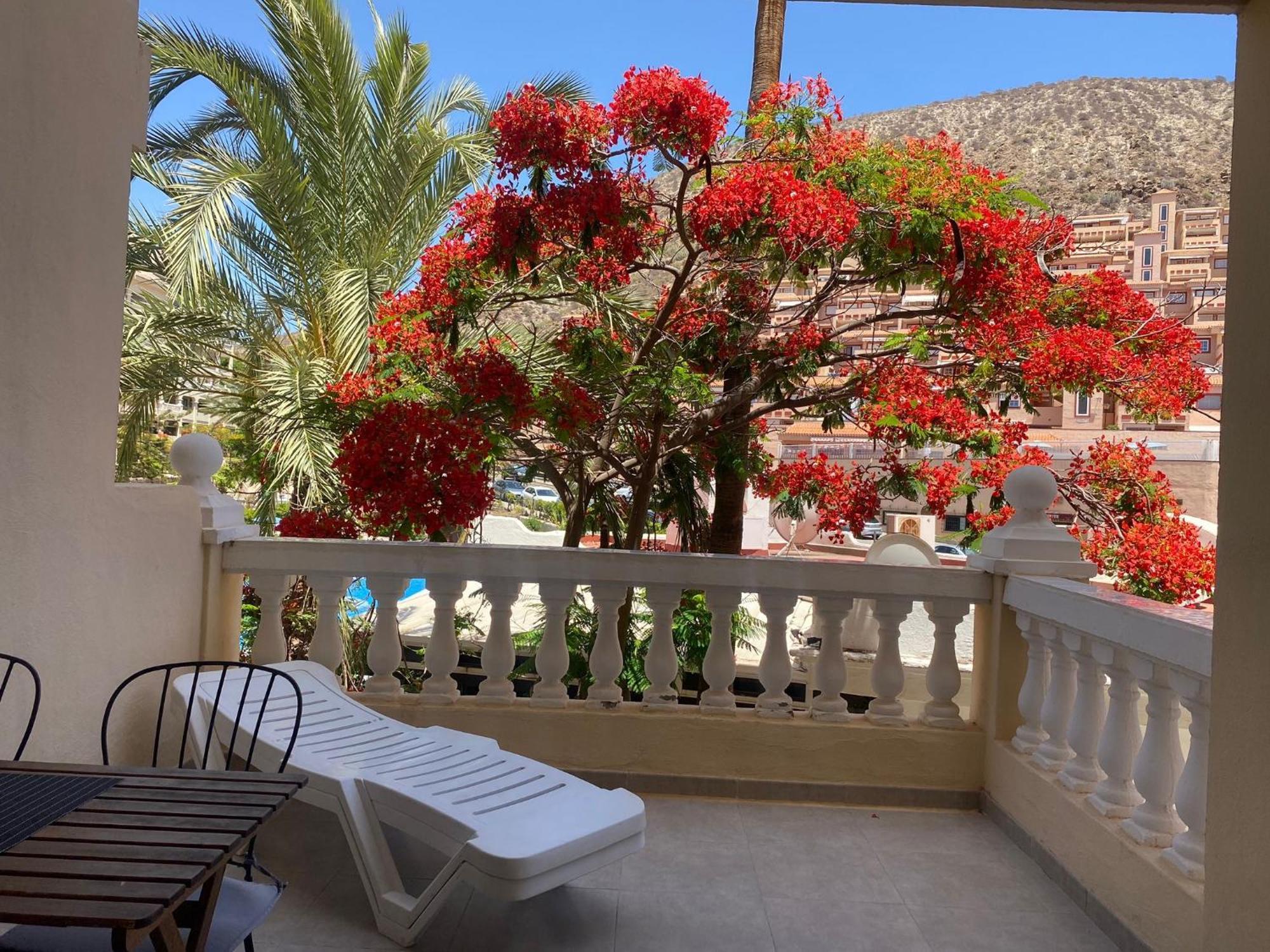 Castle Harbour Samuel'S Studio Flat By Lovetenerife Los Cristianos  Exterior foto
